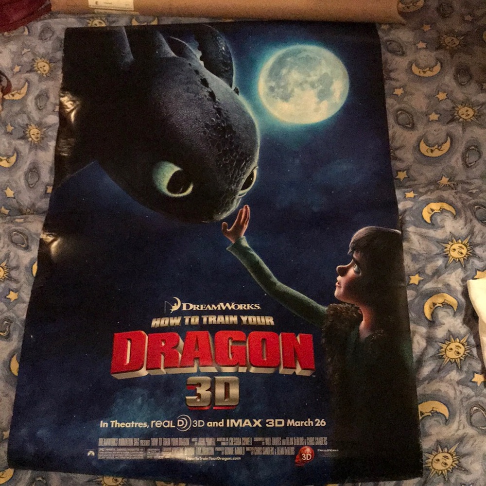 Poster, how to train your dragon 24x36